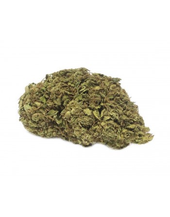 jack herer premium