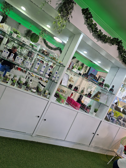 Boutique Greenbox CBD Reims