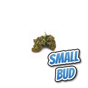 Bruce Banner