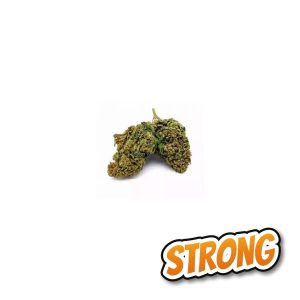 Bruce Banner