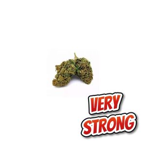 Bruce Banner