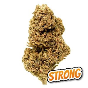 Cali Haze
