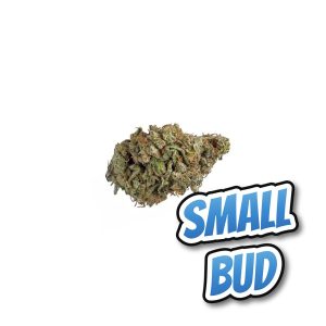White Dawg