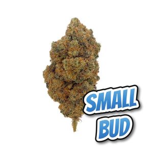 Blueberry