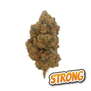 Blueberry